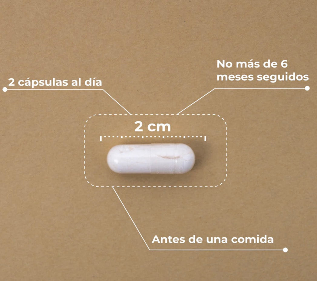 KOBHO PRE-POST PROBIÓTICO
